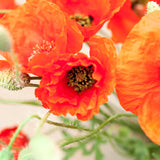 In Our Hearts... - Remembrance/Memorial Flanders Poppy Seed Favor Custom Packets - Bentley Seeds