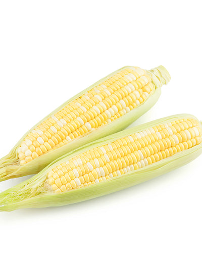 Corn, Pearls & Gold seed packet