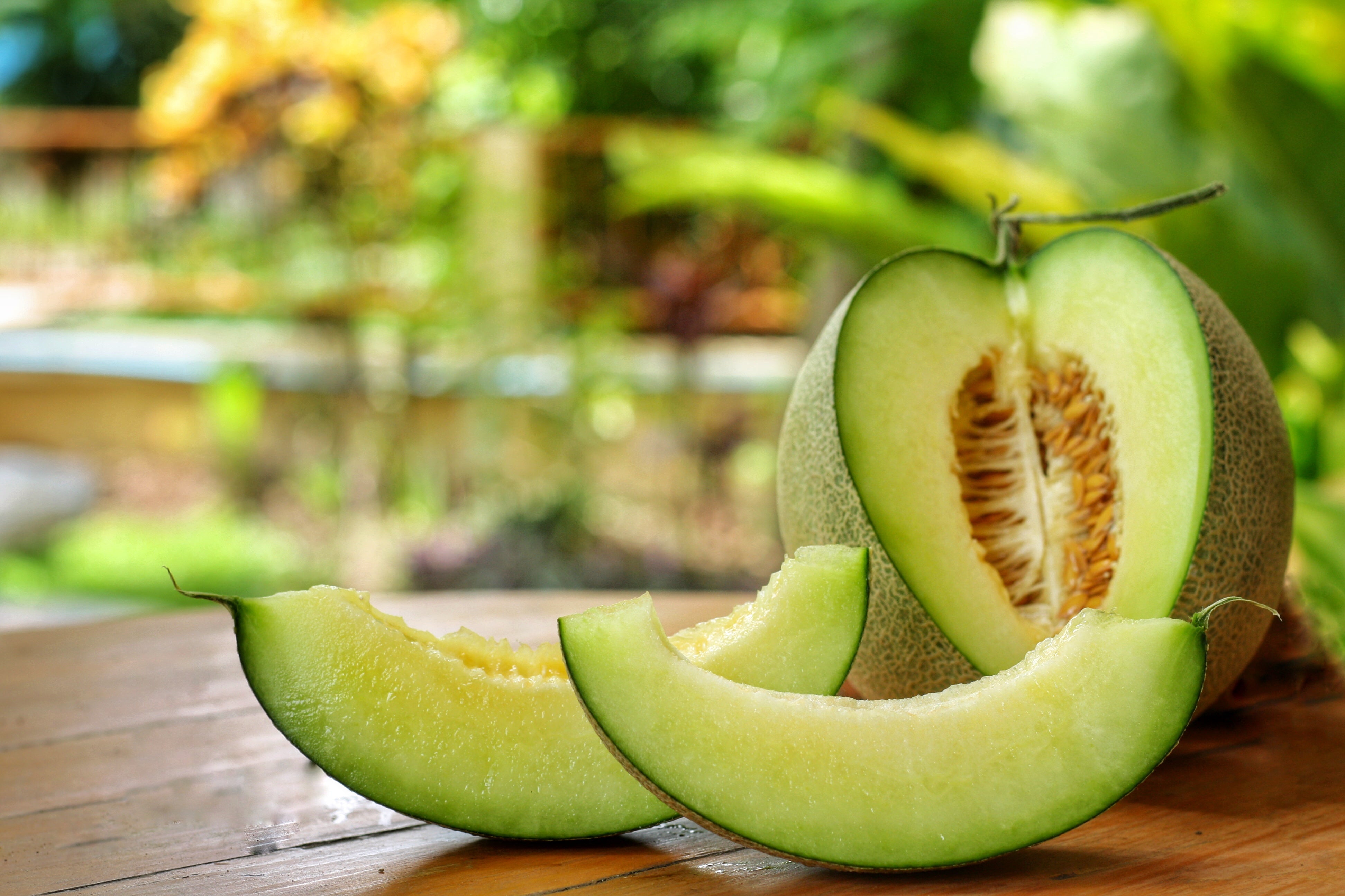 ■MELON＊■ Amazon.com : Whimsy F1 Hybrid Melon Seeds - 1 Oz ~900 Seeds