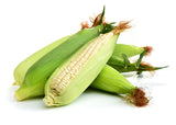 Corn - Stowells Evergreen (White) Corn - Bentley Seeds