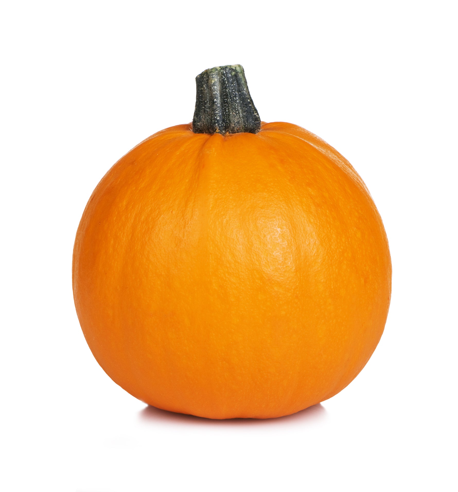 Small Sugar Pumpkin (Bulk) - Bentley Seeds