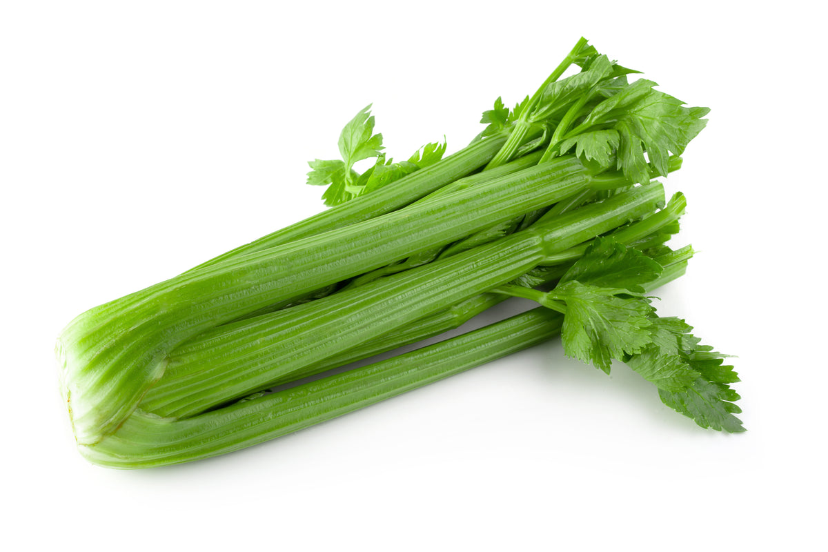 Head of celery on white background.