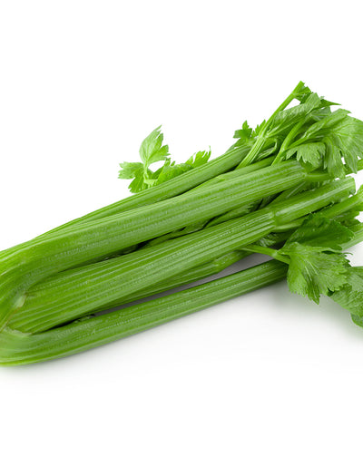 Celery, Tall Utah flower seeds