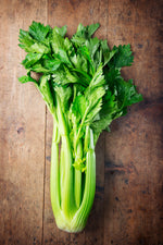 Celery, Tall Utah Seed Packets seed packet