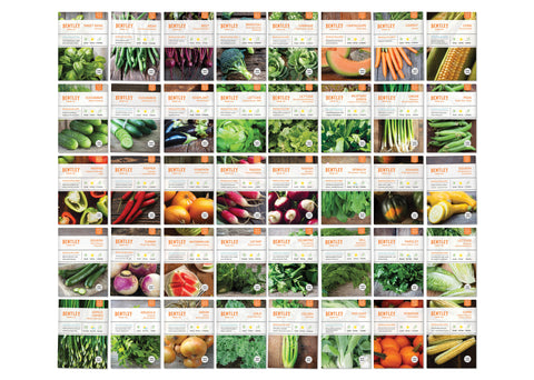 Top 40 Vegetable & Herb Seed Packets - Kit