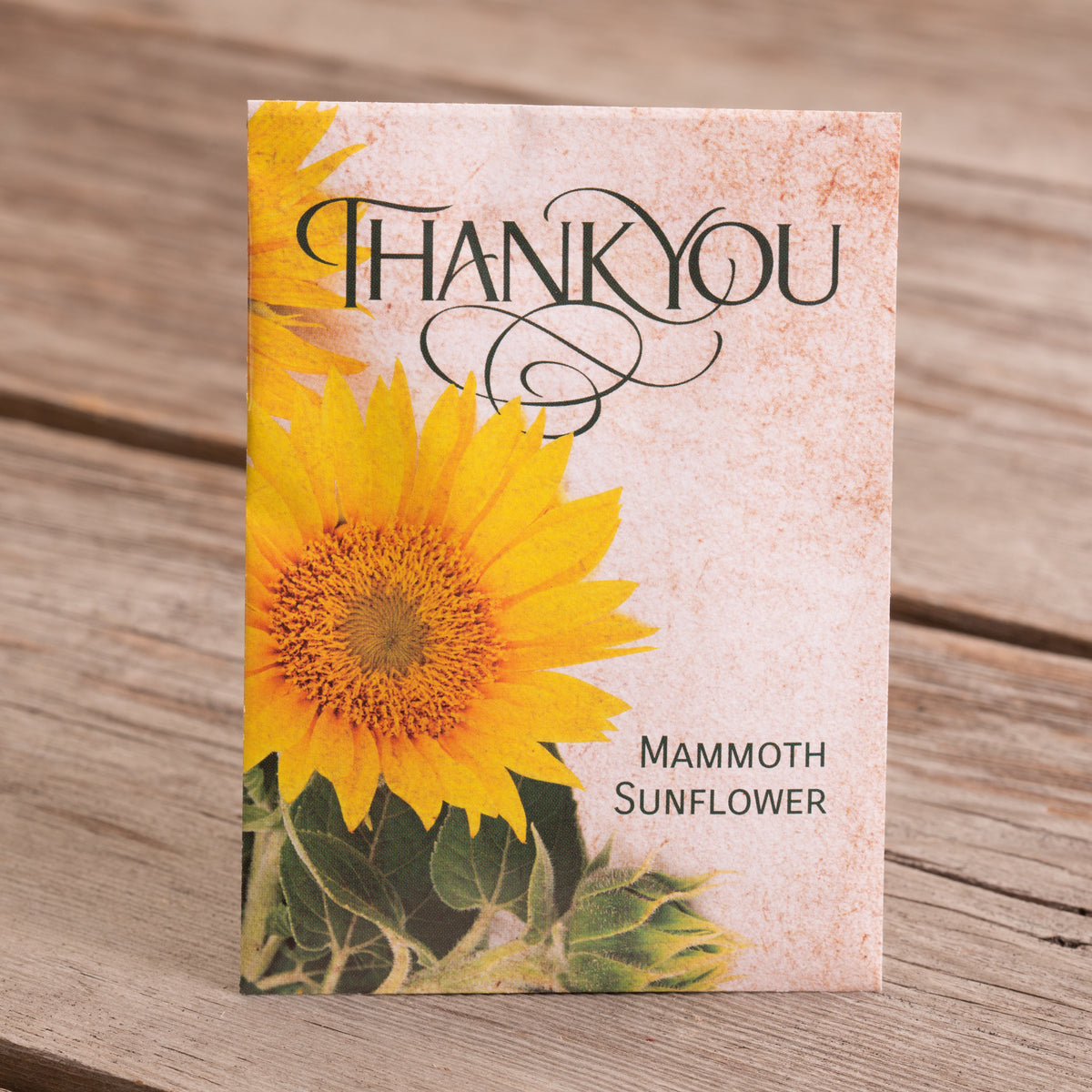 "Thank You" Mammoth Sunflower Seed Favor - Bentley Seeds