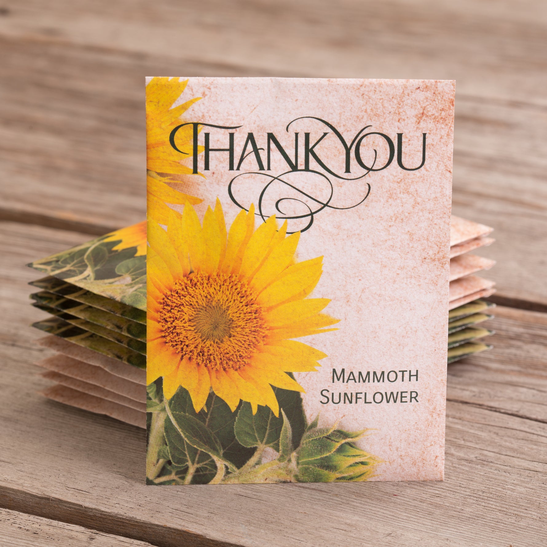 thank you cards with flower seeds Thank You - Mammoth Sunflower Seed Packets