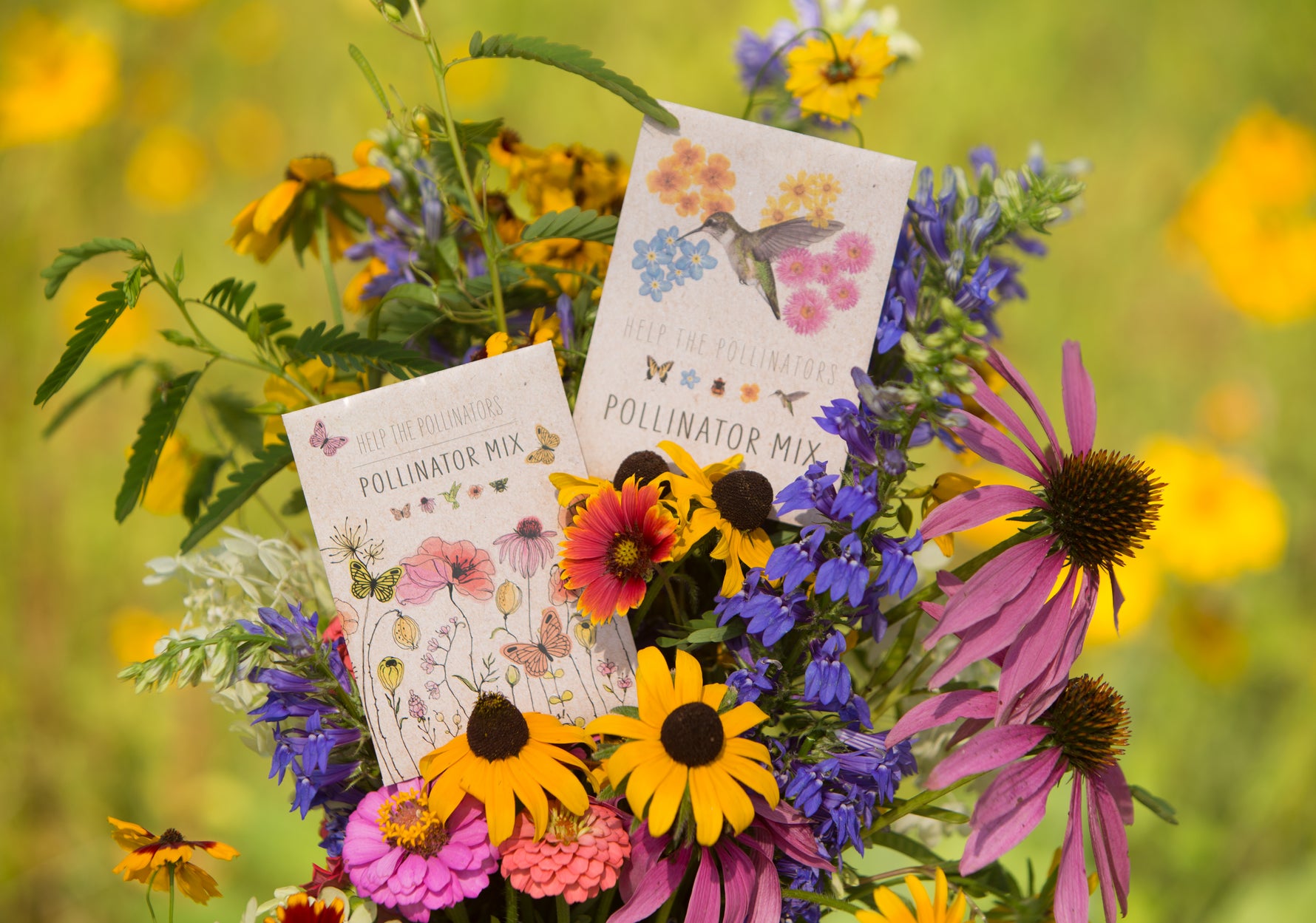 hummingbird flower seeds Pollinator Hummingbird - Wildflower Mix Seed Packets