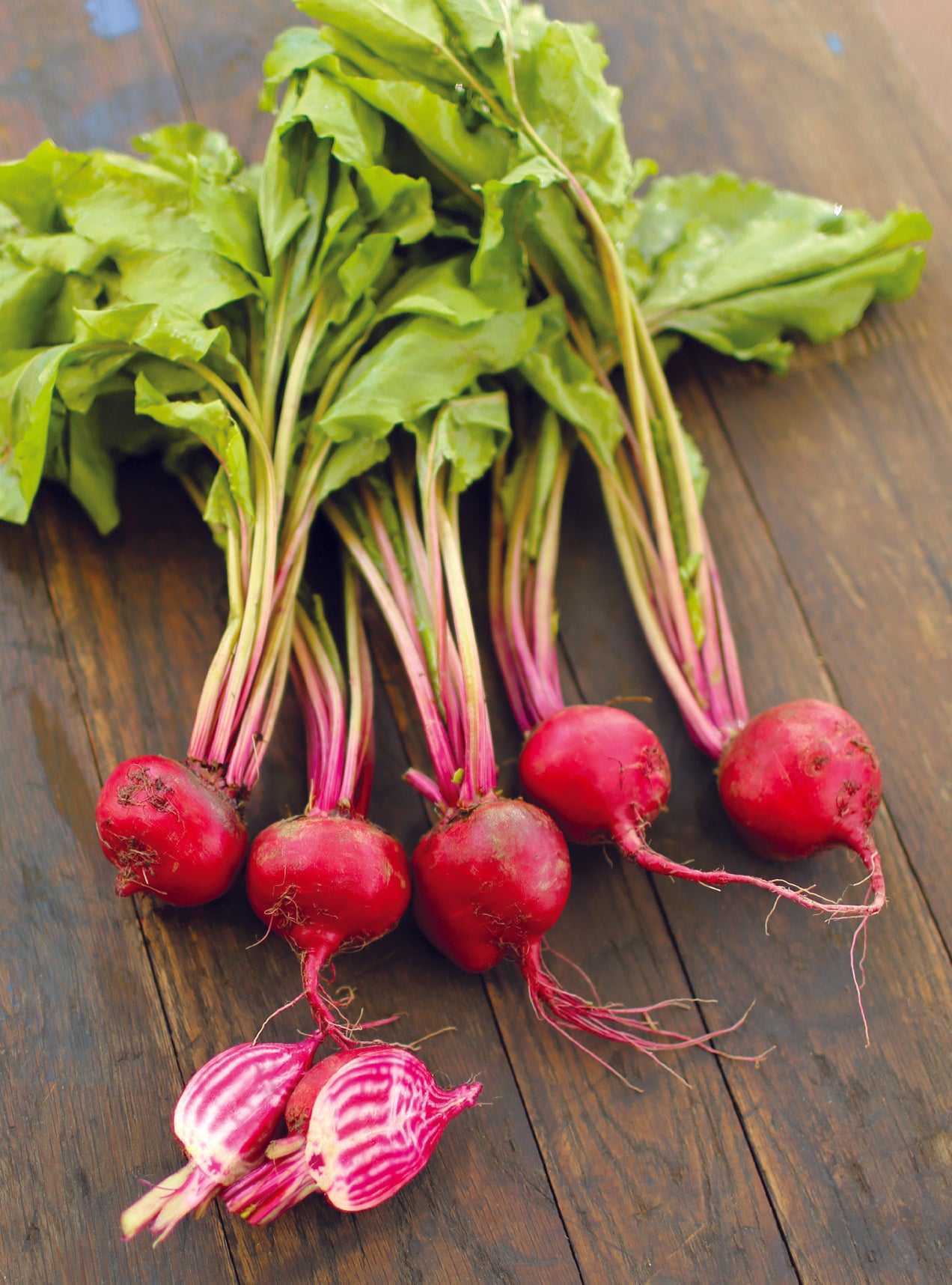 ☆ペペチー☆ Beets, Chioggia Bassano Seed Packets | Bentley Seeds
