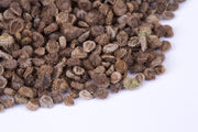 Seeds of Remembrance Memorial garden seeds