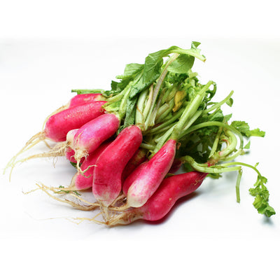 Radish, French Breakfast garden seeds