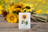 Gracias Sunflower Seed Packet Favors - Bentley Seeds
