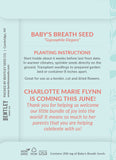All Things Grow With Love Custom Baby Baby's Breath Seed Packet Back - Bentley Seeds