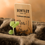 Row Markers, Packs of 10, 25 and 50 garden seeds