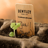 NEW Row Markers, Packs of 10, 25 and 50 - Bentley Seeds
