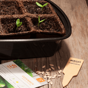 Row Markers, Packs of 10, 25 and 50 garden seeds