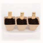 Window Garden Starter Kit flower seeds