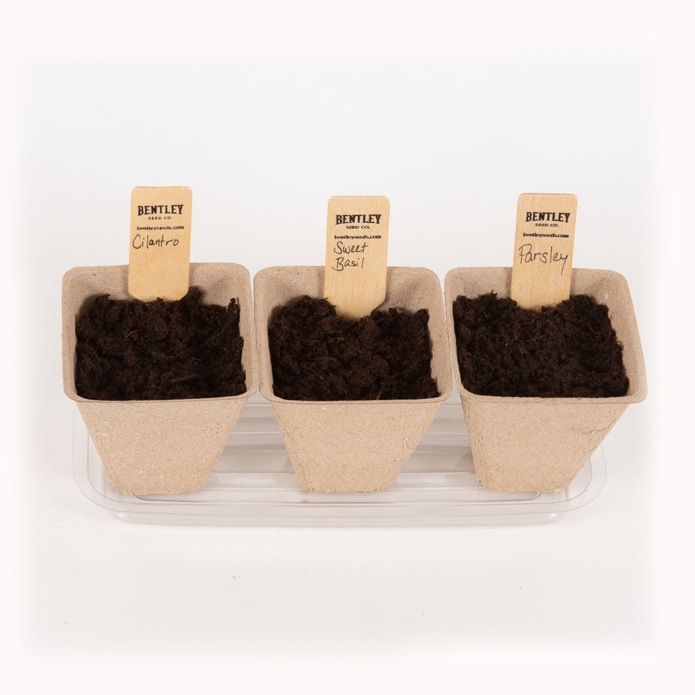 Window Garden Starter Kit flower seeds