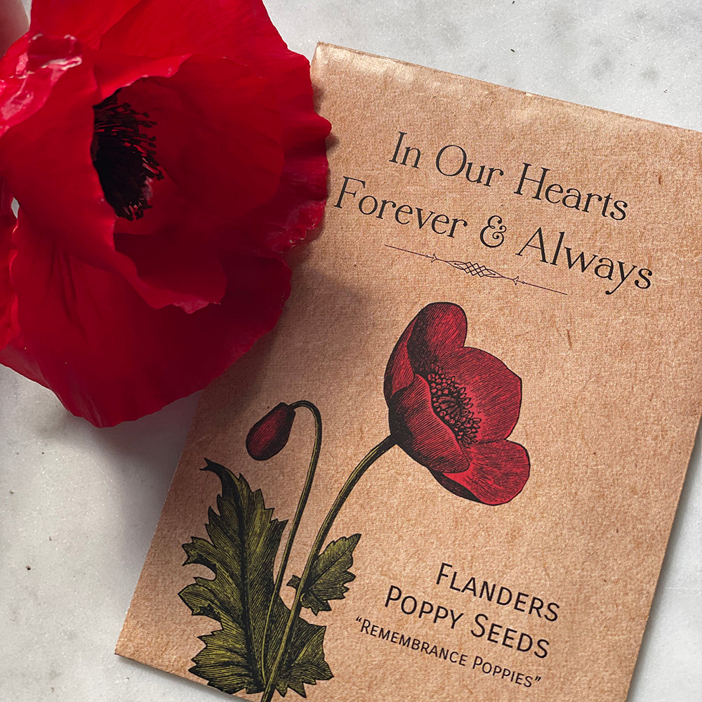 poppy seed flower memorial day In Our Hearts Remembrance Memorial
