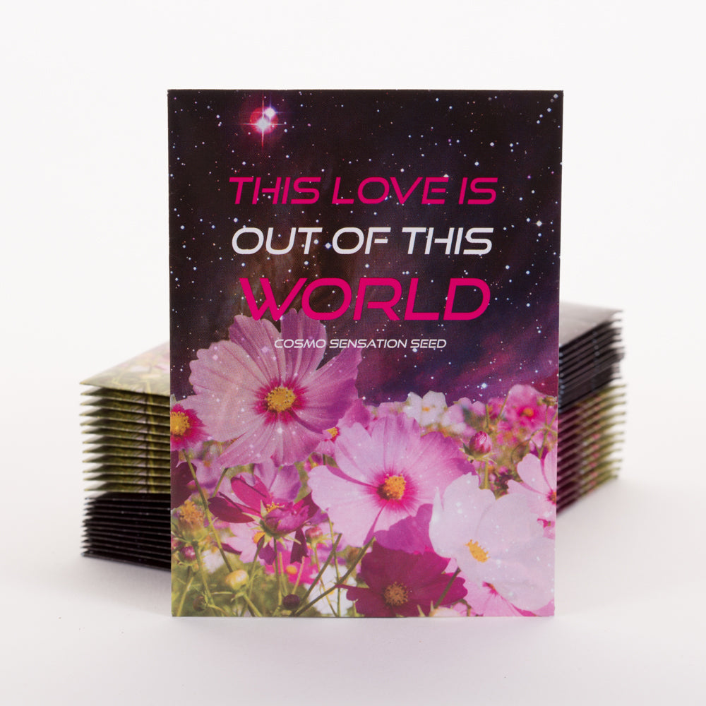 250 Piece Love Favor Seed Packet Retail POS Corrugated Display seed packet