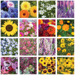 Help Pollinators Kraft Hummingbird seed packet