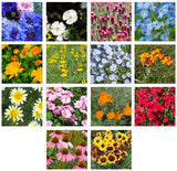 Mix Includes: Tall Blue Cornflower, Annual Baby's Breath, Crimson Clover, Chinese Forget-Me-Not, Calendula, Yellow Lupine, Blue Flax, Siberian Wallflower, Garland Daisy, Tree Mallow, Orange California Poppy, Scarlet Flax, Purple Coneflower, Plains Coreopsis - Bentley Seeds