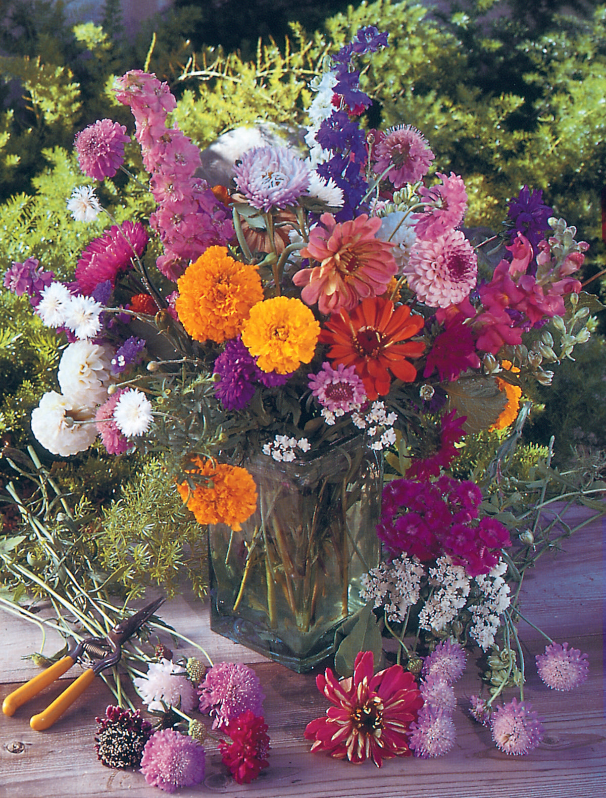 Personalized Seed Packets flower seeds