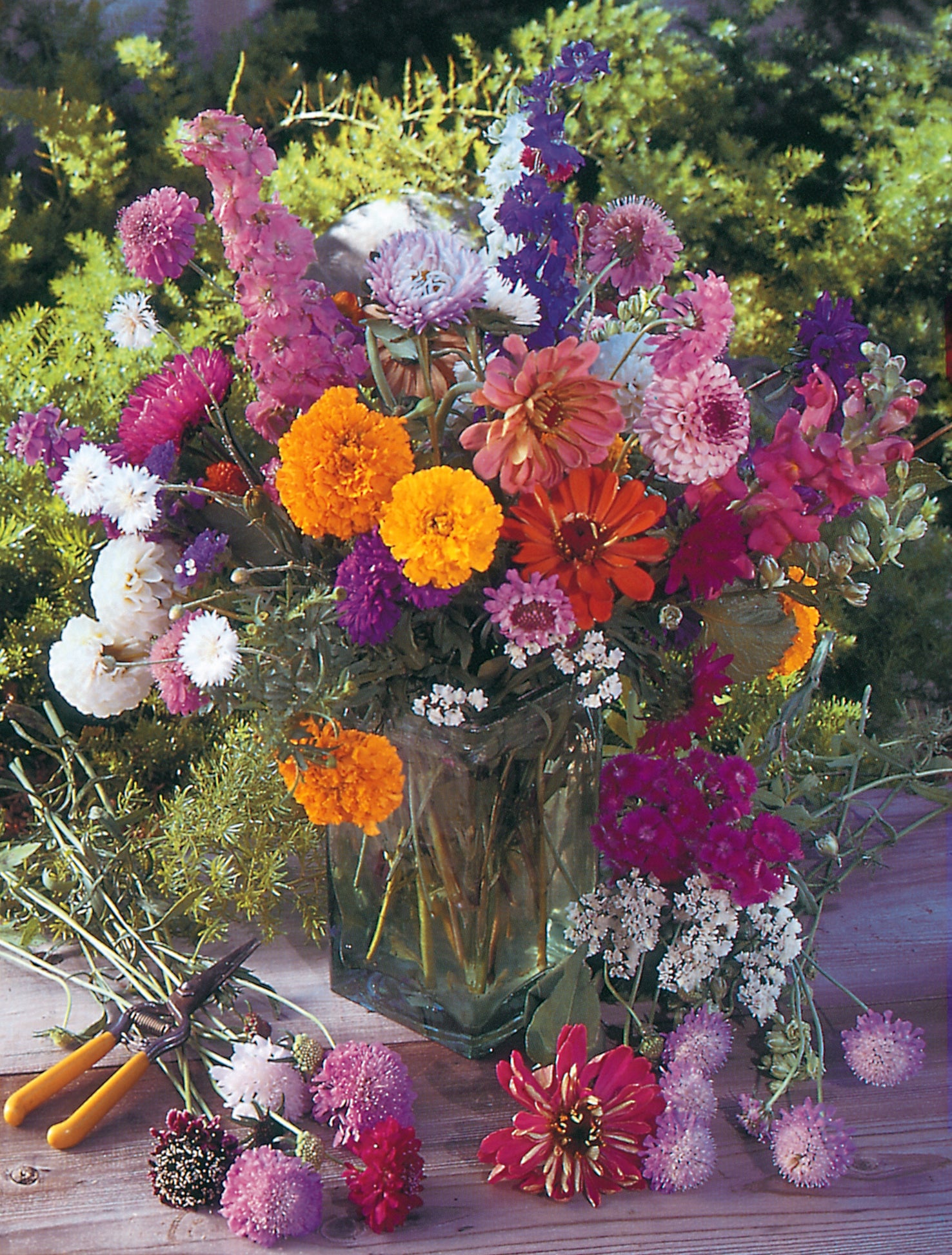 bee and butterfly flower seed mix Bee Kind