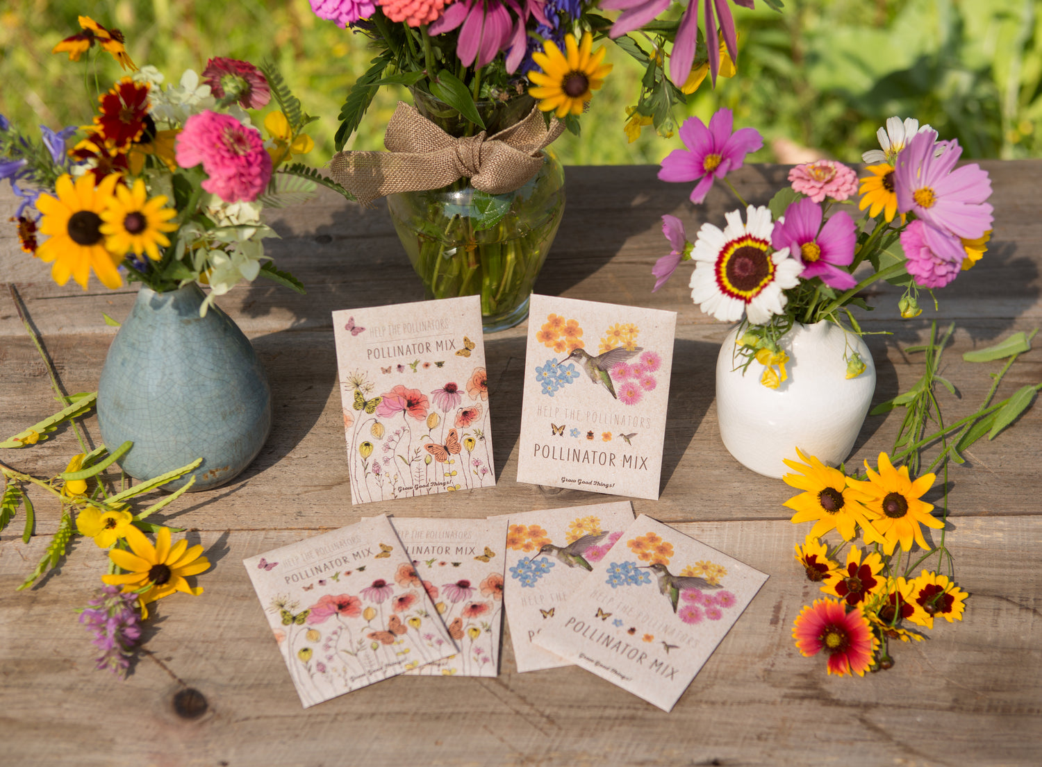 Pollinator Hummingbird garden seeds