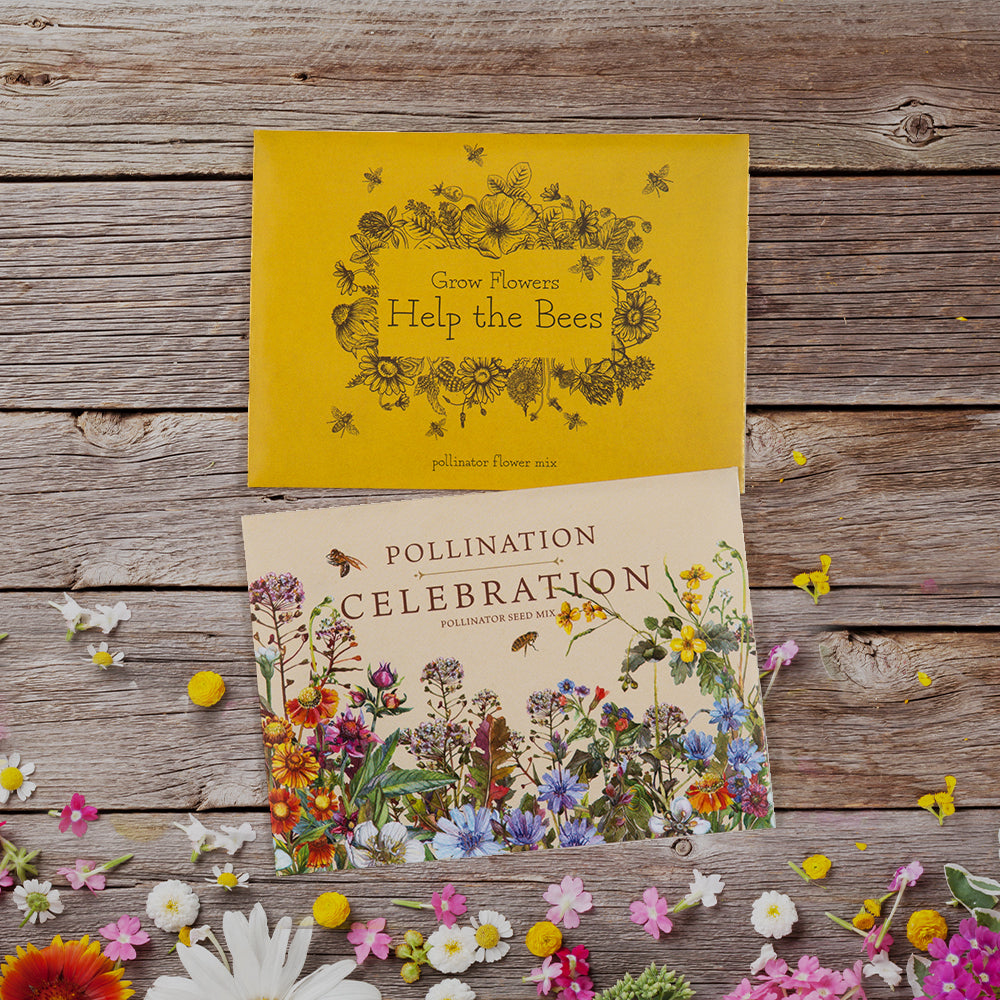 Grow Flowers Help the Bees flower seeds