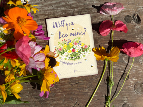 Will you Bee Mine? Favor Valentine Seed Packets - Bentley Seeds