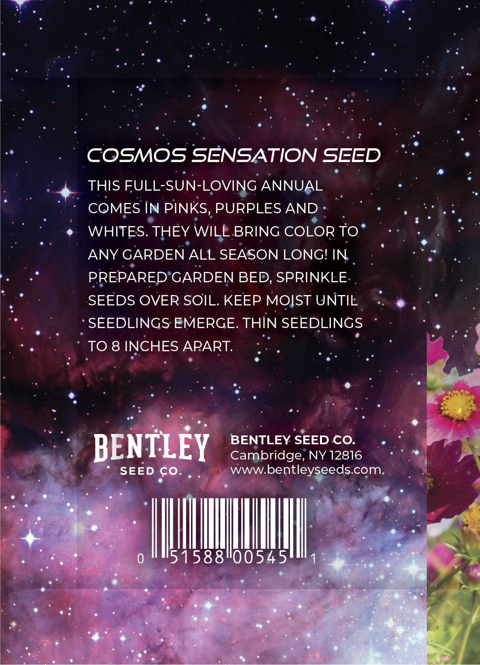 Love is Out of this World - Cosmos Flower Packets - Bentley Seeds