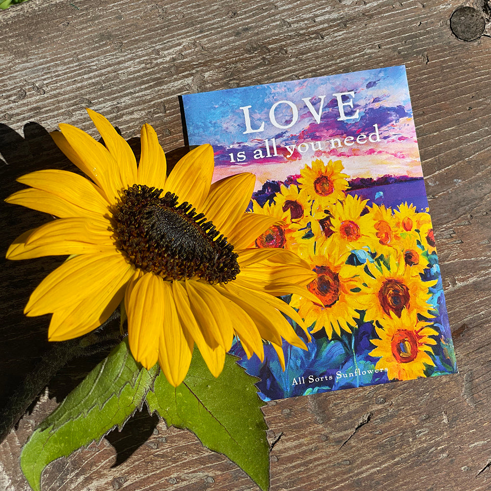 LOVE is all you need seed packet