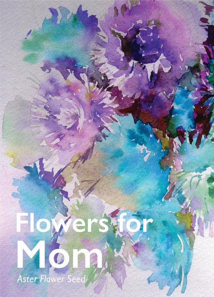 Flowers for Mom Asters - Mother's Day Aster Flower Packets - Bentley Seeds