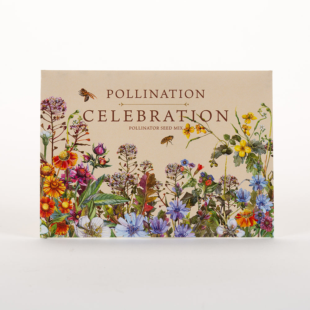 Bentley Seeds Wildflower Mix