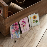 Thank You Pollinator Flower Mix Seed Packets - Bentley Seeds