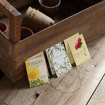 Thank You Pollinator Flower Mix Seed Packets - Bentley Seeds