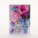 Grateful Flowers - Aster Mix Seed Packets - Bentley Seeds