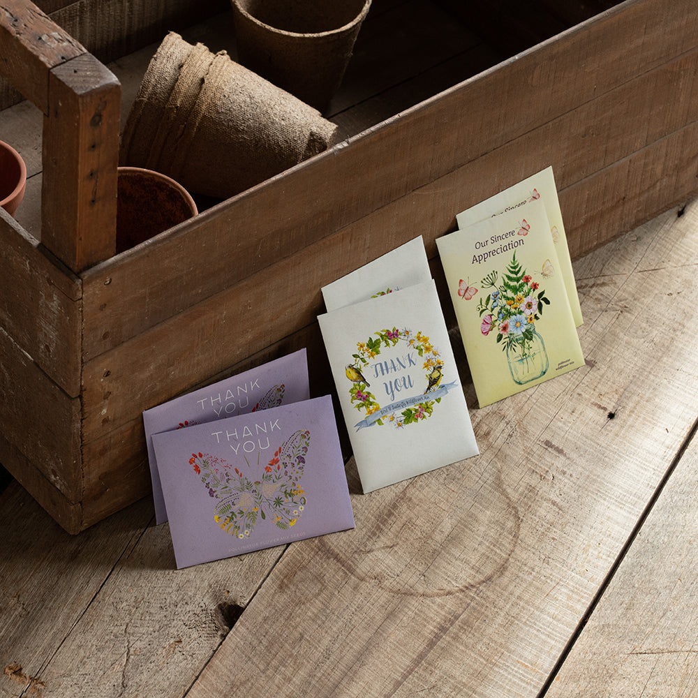 Thank You Butterfly Pollinator flower seeds