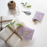 Thank You Butterfly Pollinator flower seeds