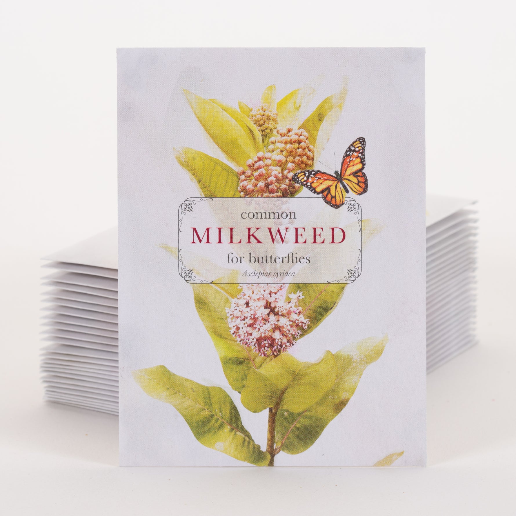Common Milkweed for Butterflies Seed Packets garden seeds