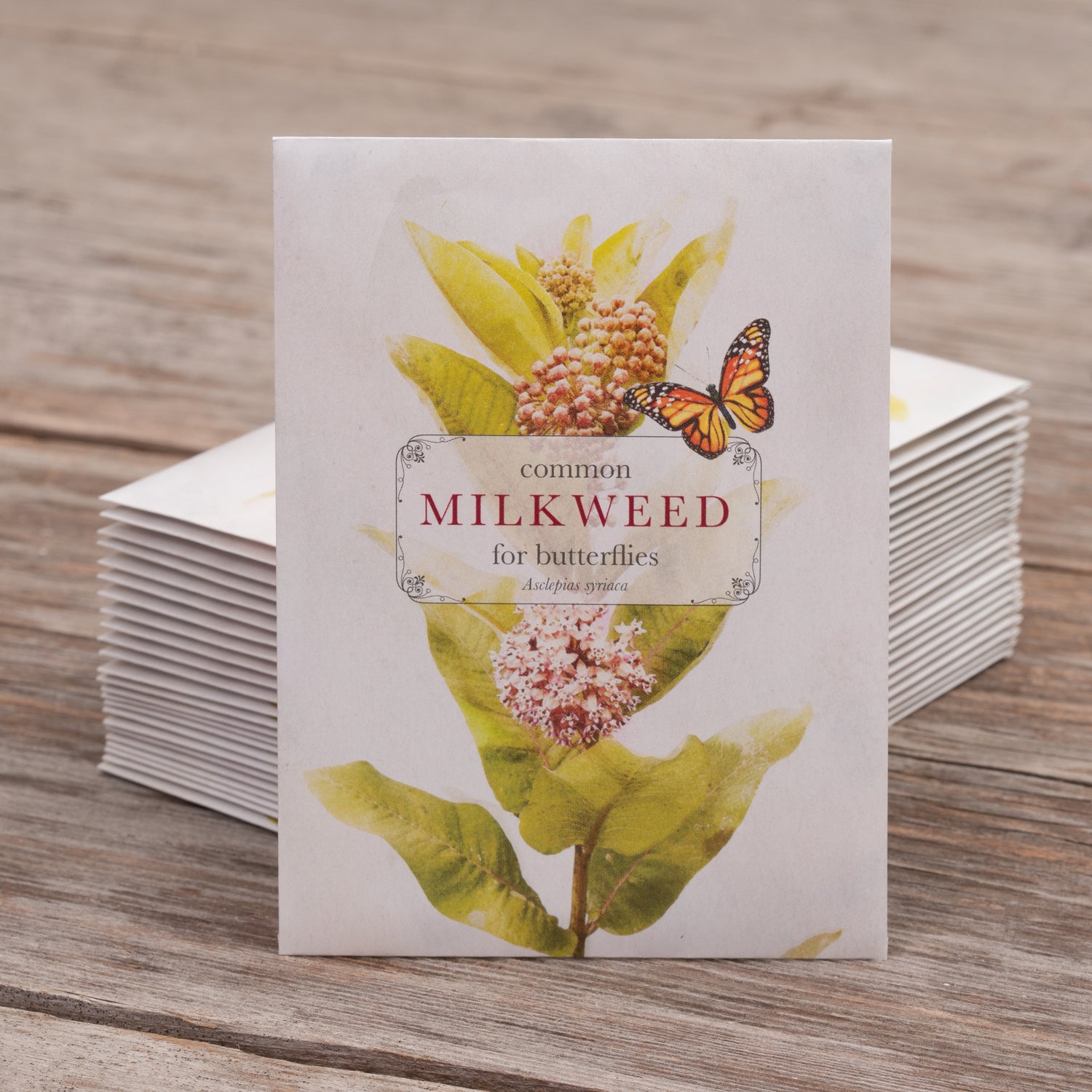 Common Milkweed for Butterflies Seed Packets garden seeds