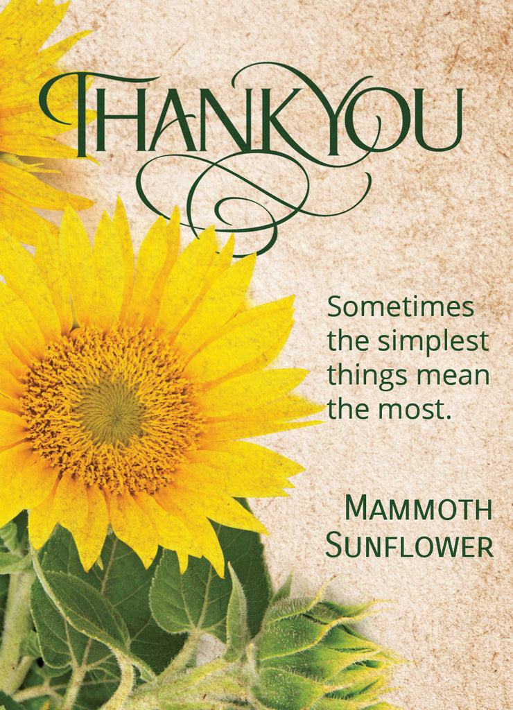 Custom Seed Packets - Thank You - Mammoth Sunflower - Bentley Seeds
