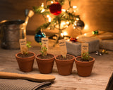 Herbs - Holiday Essential Grow Stix Kit - Bentley Seeds