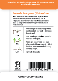 Corn flower seeds