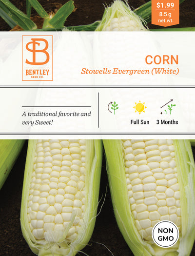 Corn flower seeds