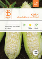 Corn flower seeds