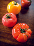 Brandywine Tomatoes - Bentley Seeds