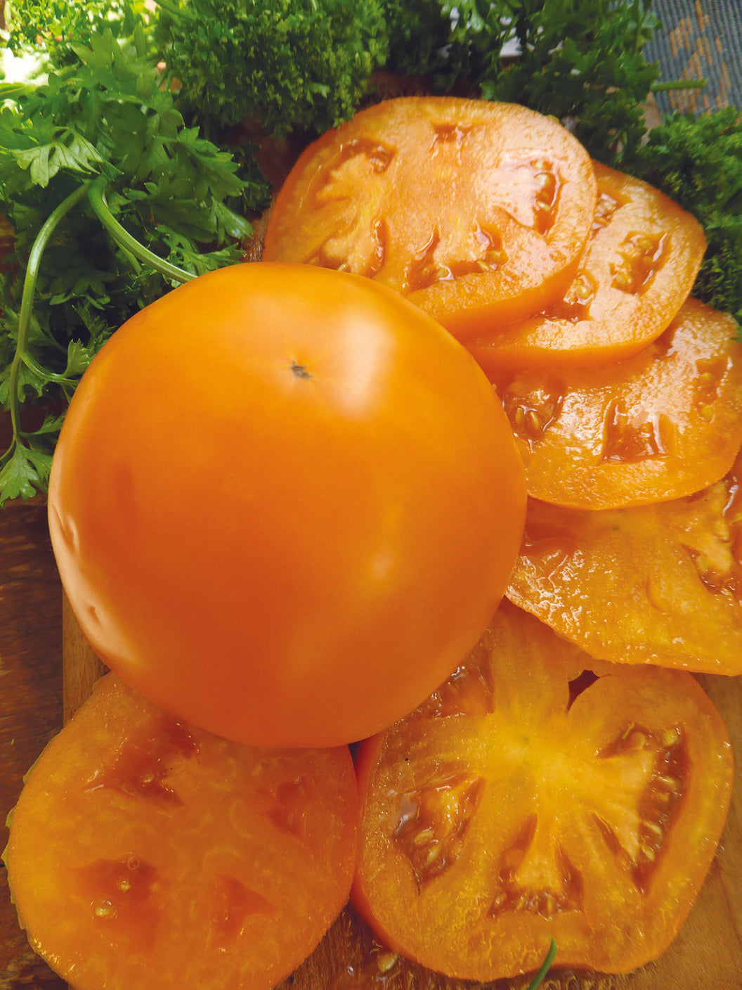 tomatoページ TRG QR Scan and Grow Seed Packs: Tomato Seeds Cherry Sweetie