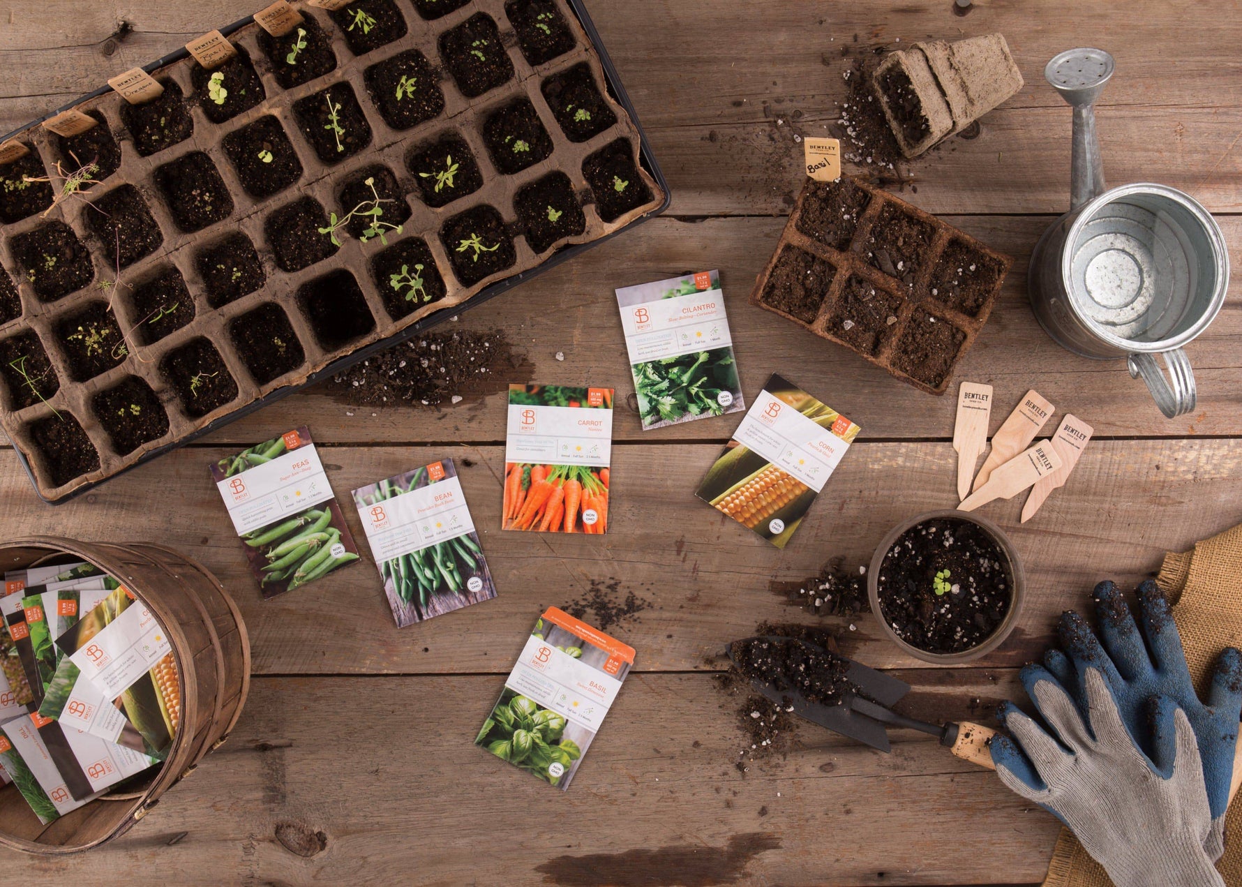 vegetable and flower seeds online Bentley Seed Co. Set of 20 Vegetable Seeds for Planting - Gardening Seeds to Grow in a Garden or Indoors